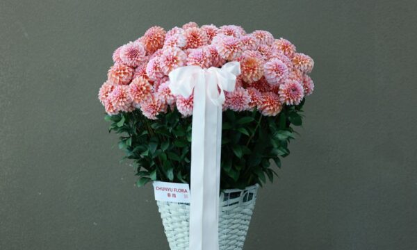 엘 찰란